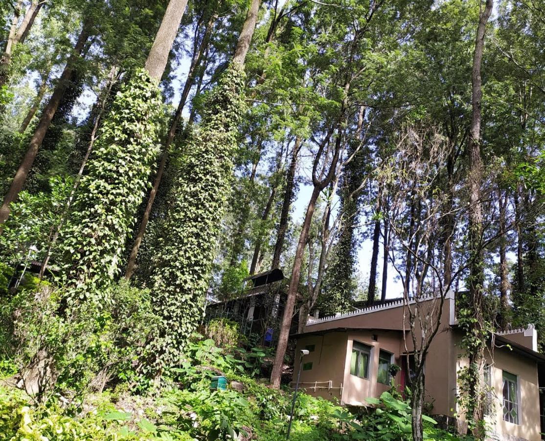 Resort Indeco Forest 3*